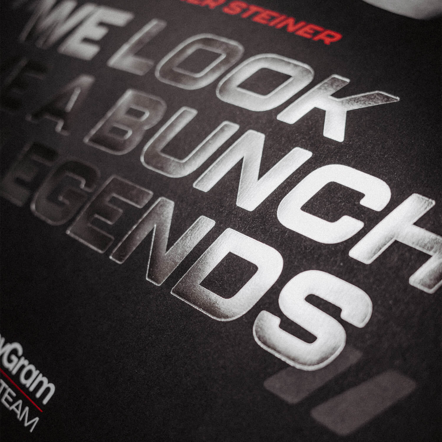 Signed by Guenther Steiner - MoneyGram Haas F1 Team - Bunch of Legends | Collector's Edition