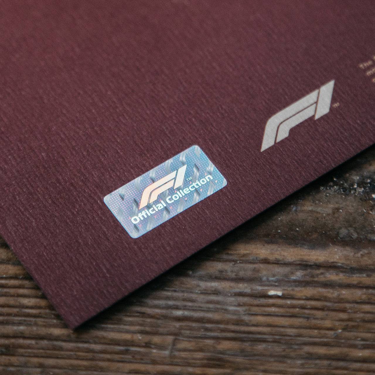 FIA FORMULA 1® WORLD CHAMPIONS 1950-2019 - 70TH ANNIVERSARY | Collector's Edition SILVER