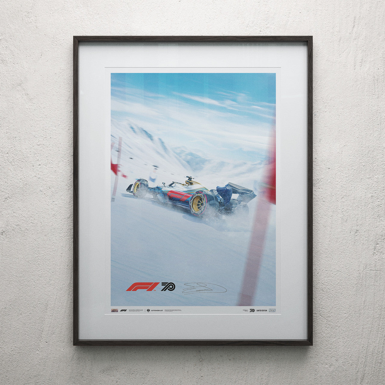 DAVID COULTHARD - FIA FORMULA 1® WINTER-INSPIRED | SIGNED SPECIAL EDITION