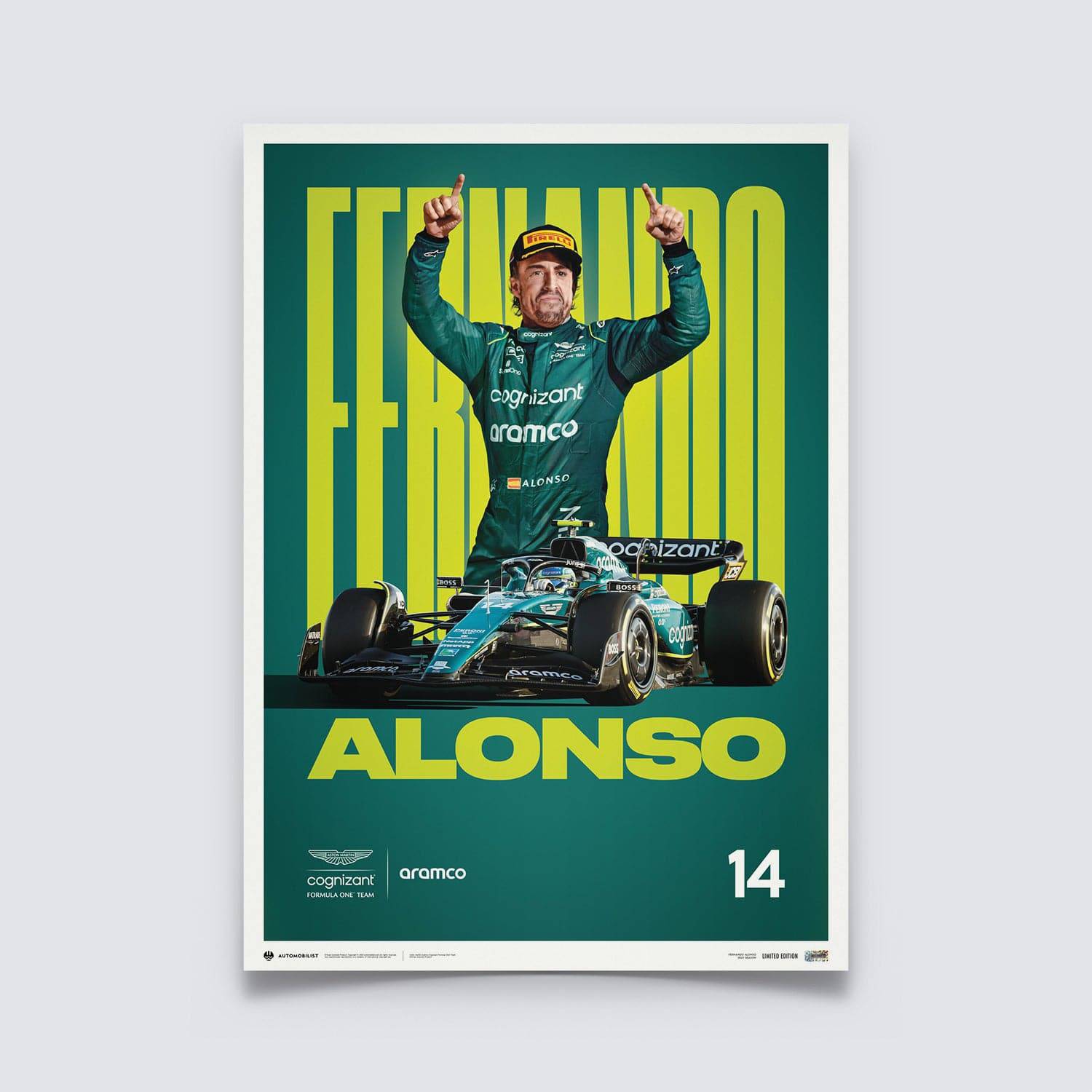  Fernando Alonso Poster 34 Wall Art Canvas Print Poster